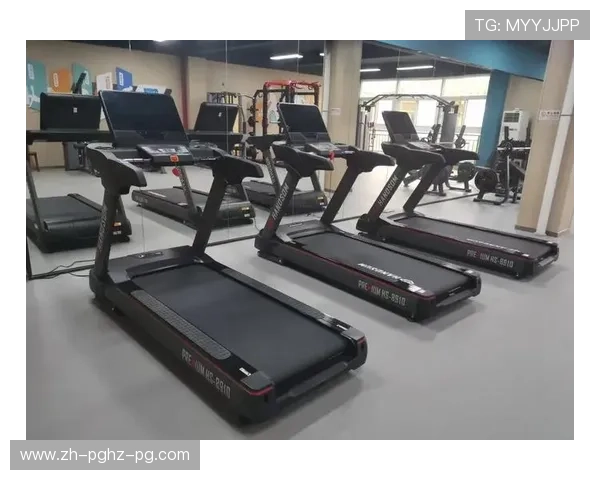 高原特色健身设备：云南力量训练器材专业测评