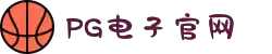 PG电子·(中国大陆)唯一官方网站